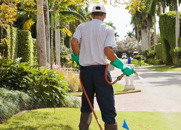 About Morton PA Pest Control Pros
